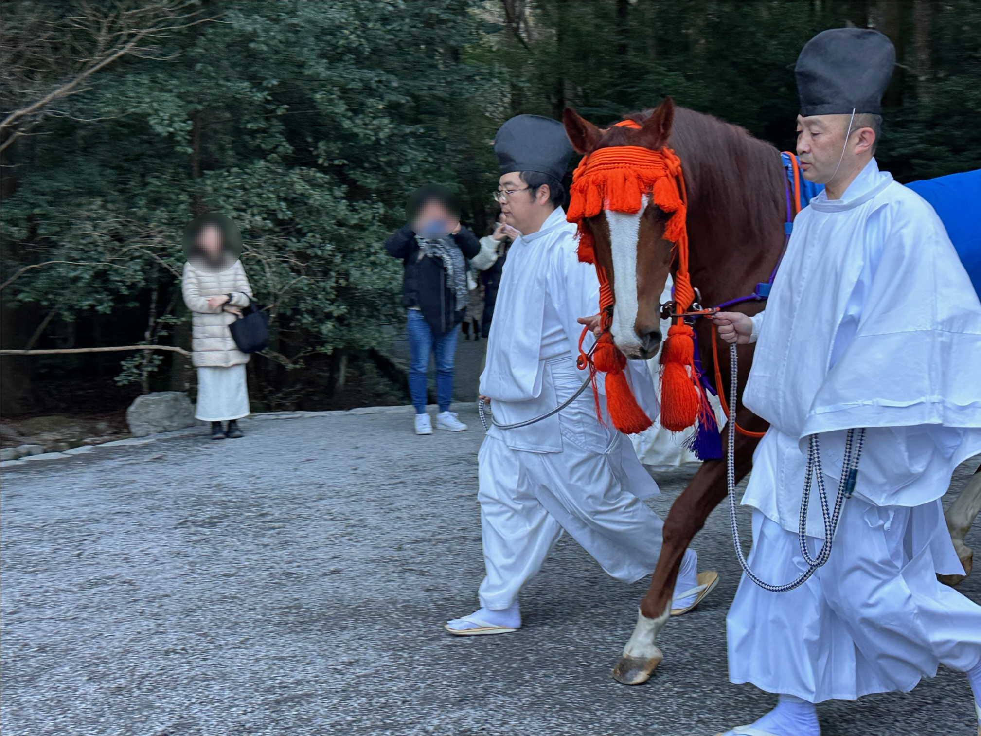 神馬に挨拶（2026年1月）