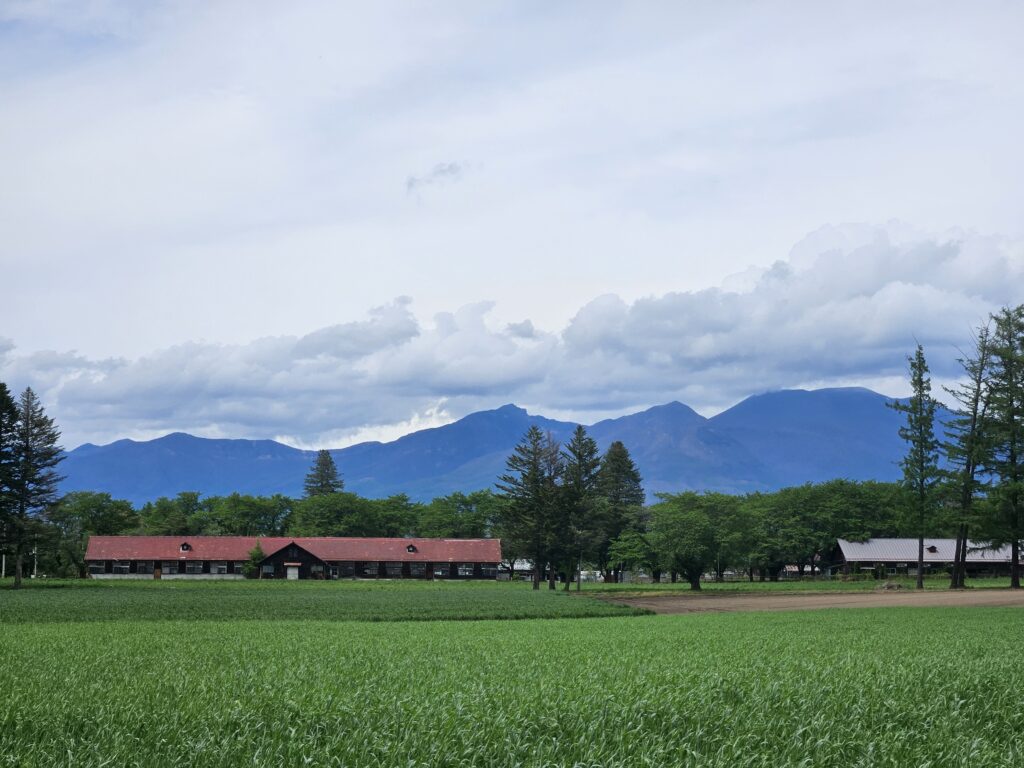 初夏、緑に包まれる(2025年5月)
