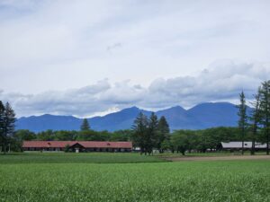 初夏、緑に包まれる(2025年5月)